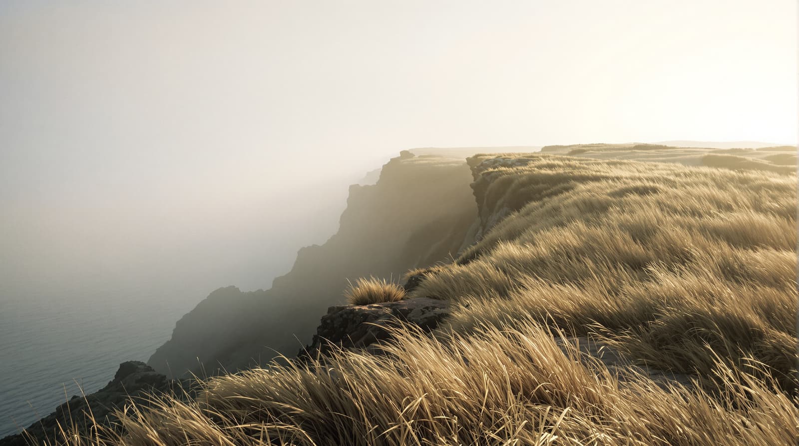 Meditation science