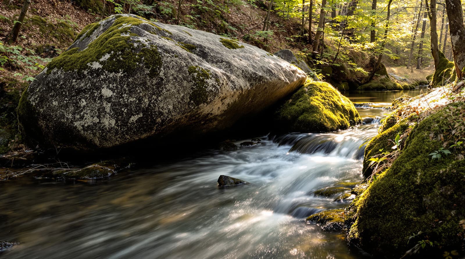 Contrast between forced effort and sustainable flow